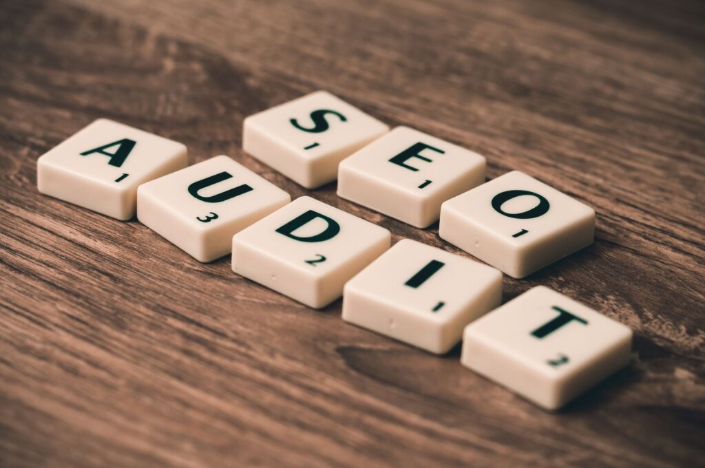 professional website - SEO Foundations and Future‑Proofing